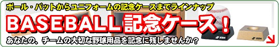 �싅�p�i�L�O�P�[�X