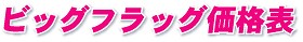 ビッグフラッグ価格表