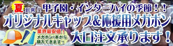 �����̒�ԃI���W�i���L���b�v�����K�z�����������i�I