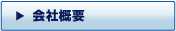 ЊTv