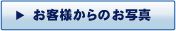 ql璸fEꖋÊʐ^