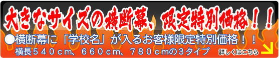 �傫�ȃT�C�Y�̉��f���A���艿�i�I