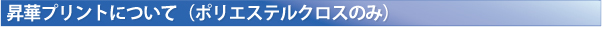 ���؃v�����g�ɂ���