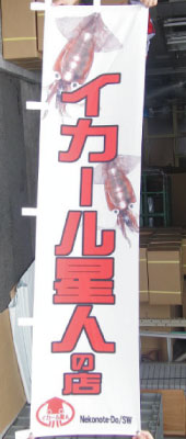 �̂ڂ萻���