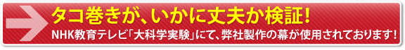 タコ巻きがいかに丈夫か検証！